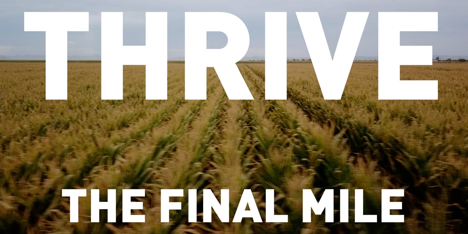 Thrive - The Final Mile